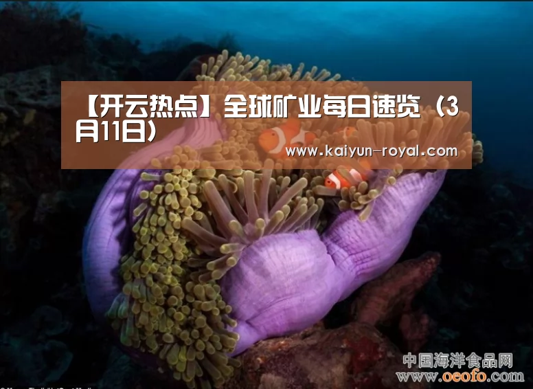【开云热点】全球矿业每日速览(3月11日)(图3) 开云官网