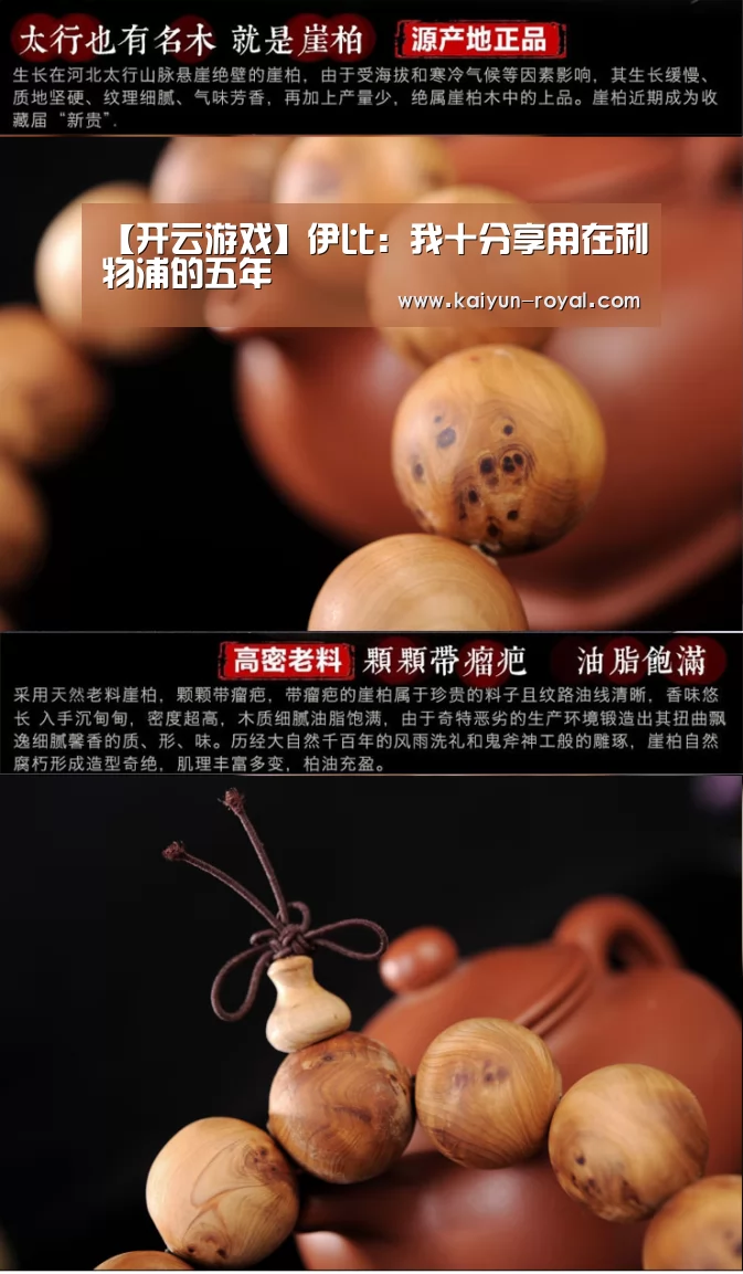 【开云游戏】伊比:我十分享用在利物浦的五年(图3) 开云游戏