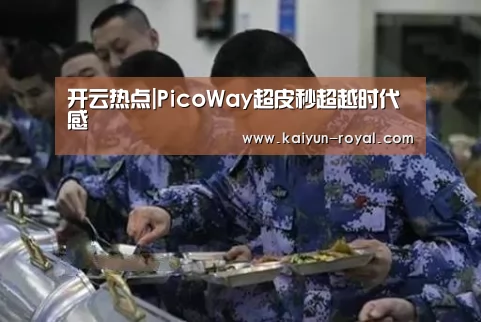 开云热点|PicoWay超皮秒超越时代感(图3) 开云推荐