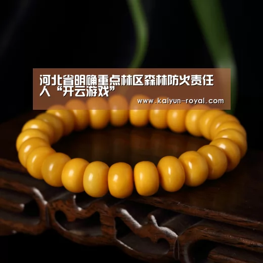 河北省明确重点林区森林防火责任人“开云游戏”(图4) 开云热点
