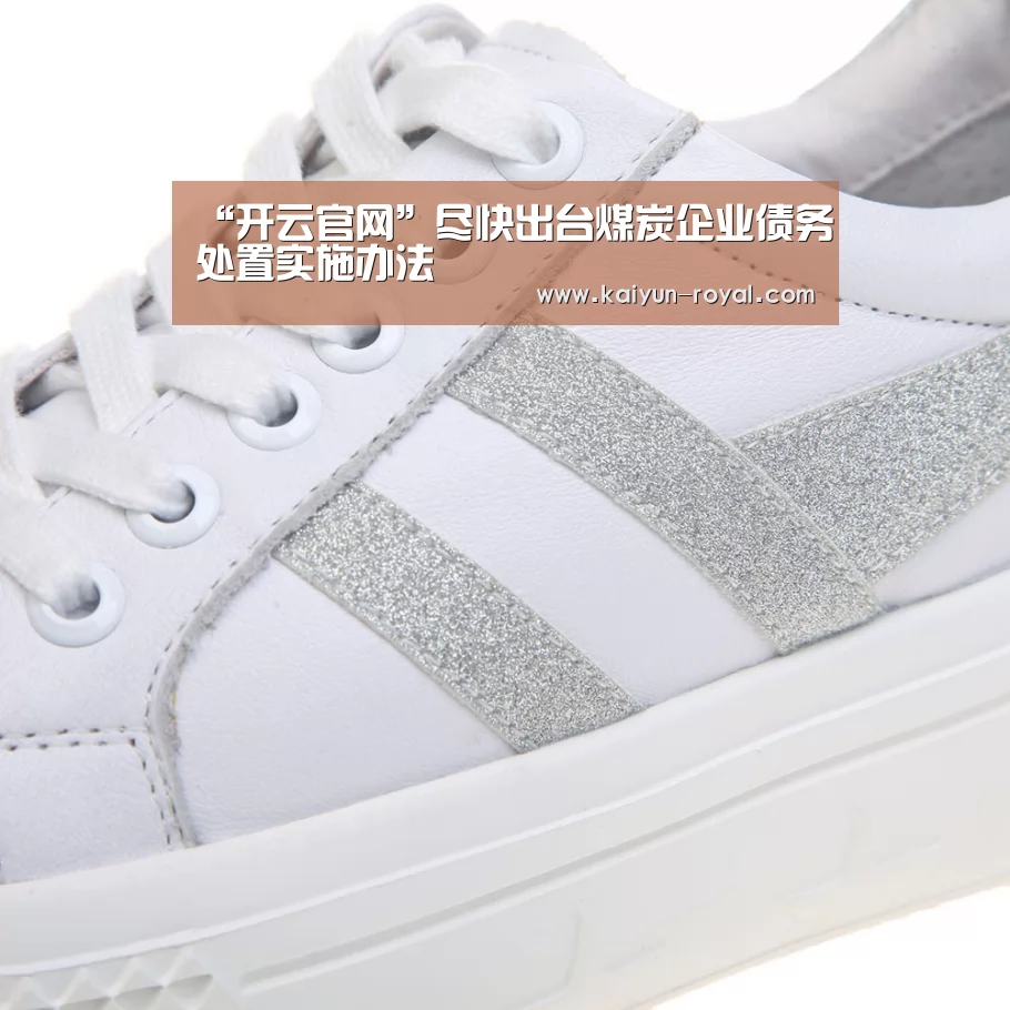 “开云官网”尽快出台煤炭企业债务处置实施办法(图4) 开云游戏