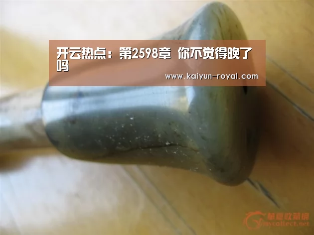 开云热点:第2598章 你不觉得晚了吗(图3) 开云热点