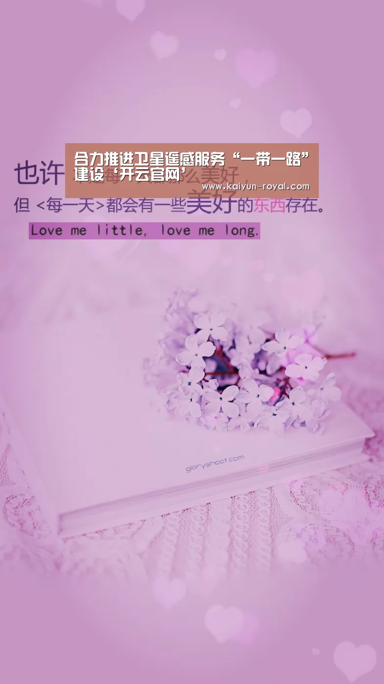 合力推进卫星遥感服务“一带一路”建设‘开云官网’(图2) 开云官网