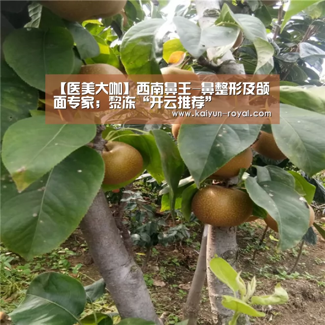 【医美大咖】西南鼻王-鼻整形及颌面专家;黎冻“开云推荐”(图1) 开云推荐
