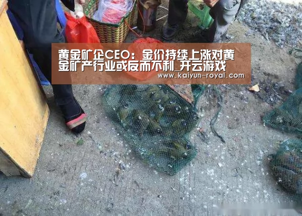 黄金矿企CEO:金价持续上涨对黄金矿产行业或反而不利_开云游戏(图2) 开云官网